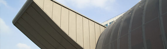 Lattoneria Gallina - Facciata zinco titanio aggraffato Lattoneria Gallina - Facciata zinco titanio aggraffato